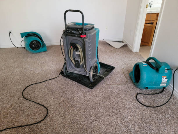 Best Sewage cleanup and water damage restoration  in Stonybrook, PA