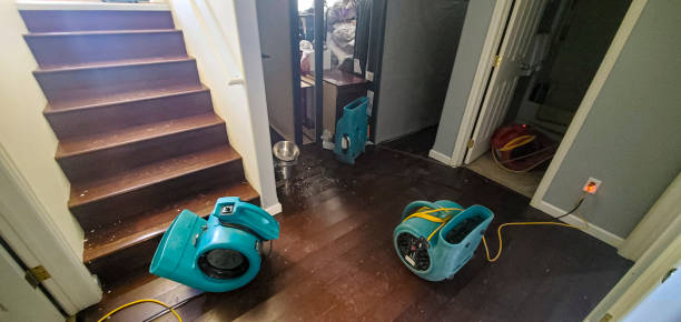 Best Basement water damage restoration  in Stonybrook, PA
