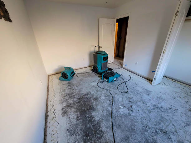 Best Flood restoration services  in Stonybrook, PA