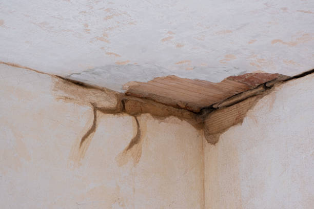 Best Water damage restoration company  in Stonybrook, PA