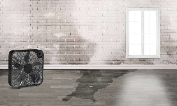 Best Fire Damage Restoration  in Stonybrook, PA