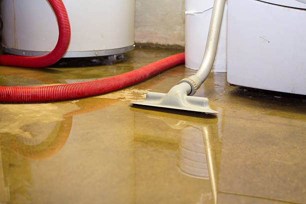  Stonybrook, PA Water damage restoration Pros