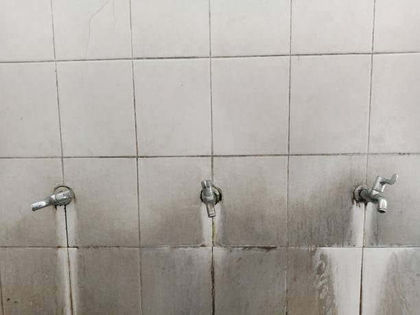 Best Water damage contractors near me  in Stonybrook, PA
