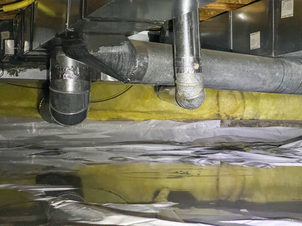 Best Mold removal after water damage  in Stonybrook, PA