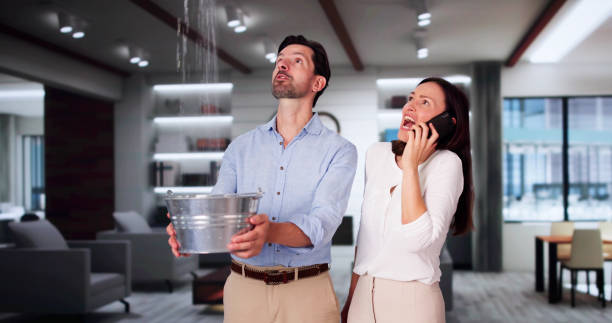 Best Water damage contractors near me  in Stonybrook, PA