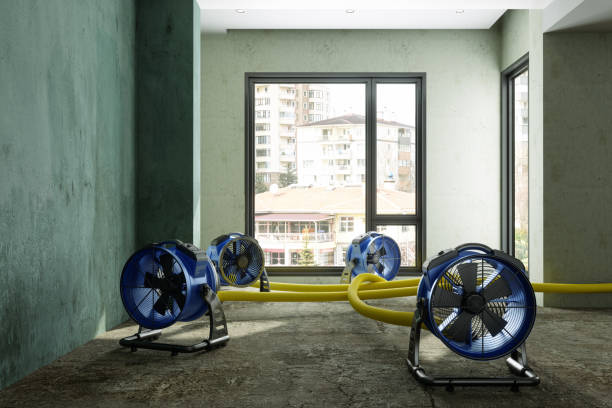 Professional Water damage restoration in Stonybrook, PA